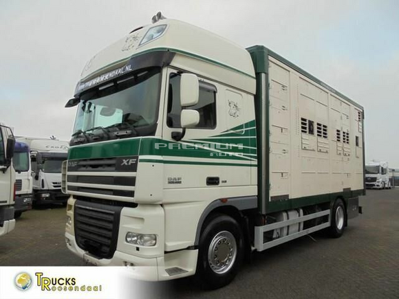 DAF - XF 105.460 Pig truck Lift Euro 5 Discount - Скотовоз