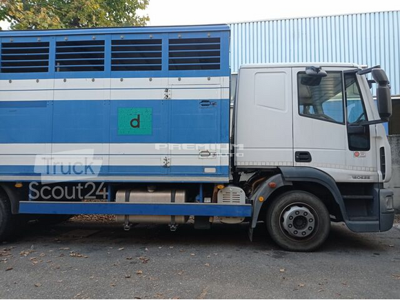 Iveco - ml120e250/P - Скотовоз