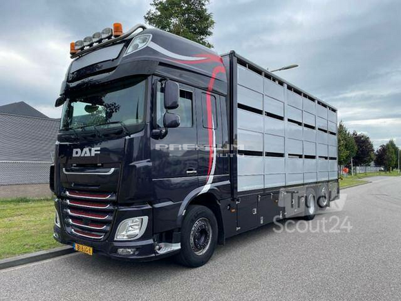 DAF - XF 460 2017 berdex 3 lagen varkens - Скотовоз