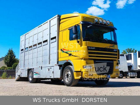 DAF - XF 410 SC Menke Doppelstock - Скотовоз