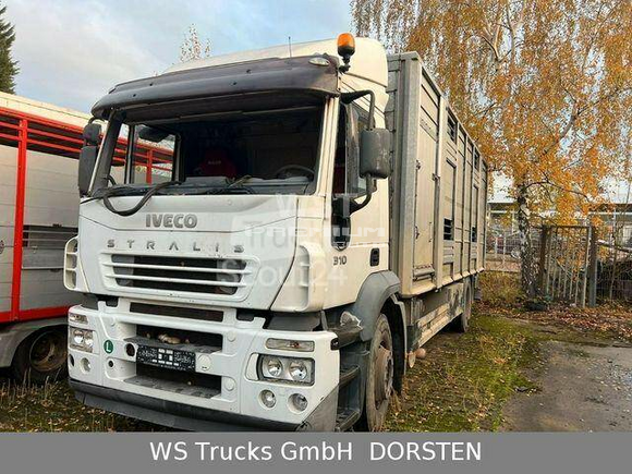 Iveco - Stralis 310 Zweistock Fahrerhaus beschdigt - Скотовоз