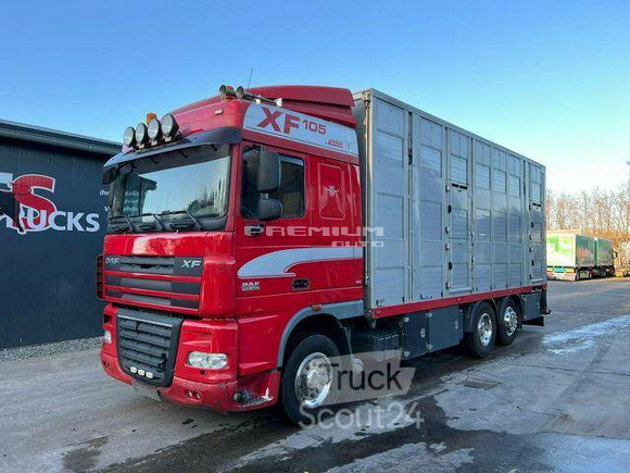 DAF - XF 105.460 EU5 3. Stock Menke Lfter Trnke - Скотовоз