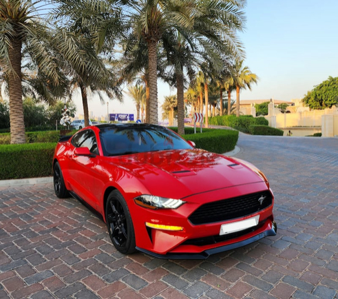 Ford Mustang / Ecoboost / 2020 Model / in Perfect Condition